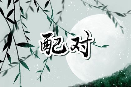 低分合婚如何经营