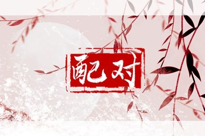 流年合婚：动态视角